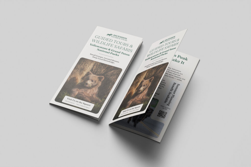 Tri-fold brochure front: wildlife safari flyer with a bear image, green title about guided tours of Yellowstone/Grand Teton National Parks, and a small descriptive subtitle.